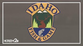 IDFG: 17 convicted for wildlife violations in Idaho after extended investigation