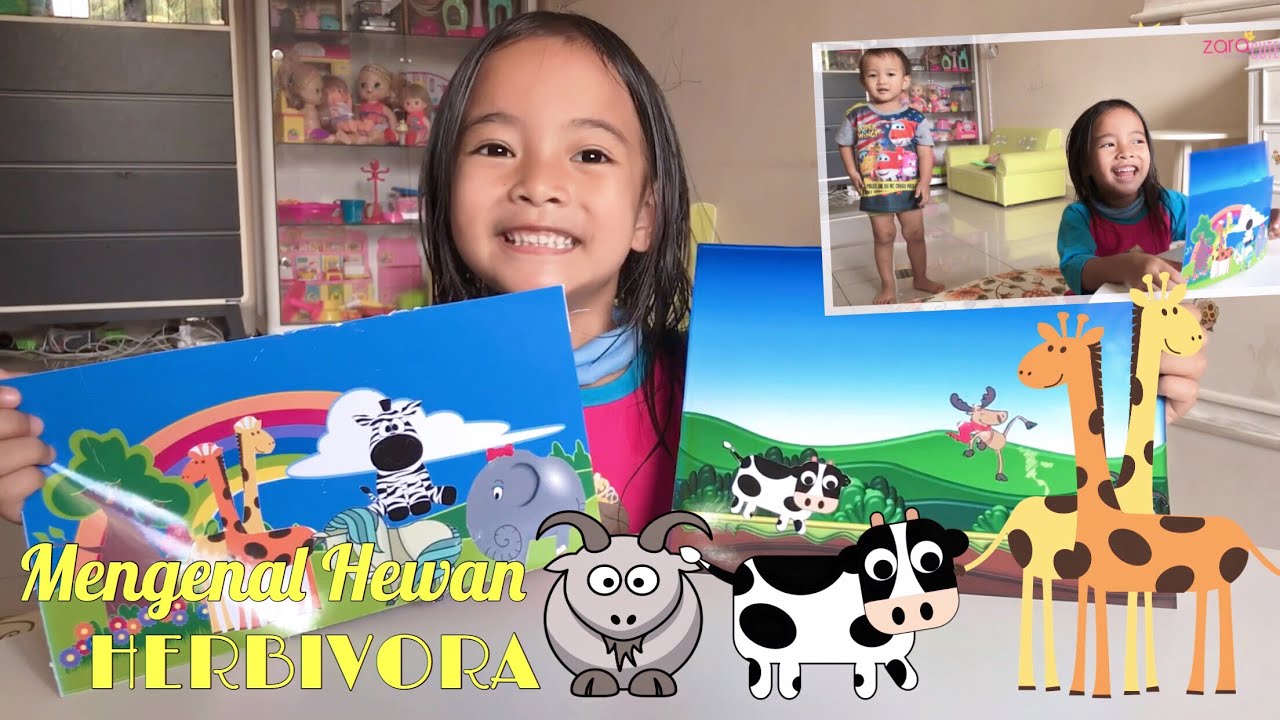 HomeSchooling Belajar Mengenal Hewan  Herbivora 8 Hewan  