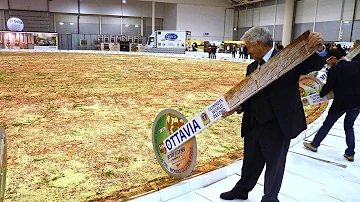 Qual é o país de origem da pizza?