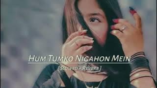 Hum Tumko Nigahon me ( Slowed   Reverb ) Hindi Song 🥰 #hindisong #lofi #oldisgold #slowedandreverb