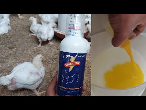 افضل مضاد سموم في مجال الدواجن ودعاء لرشح المراره وسموم العلف المرتفعه  