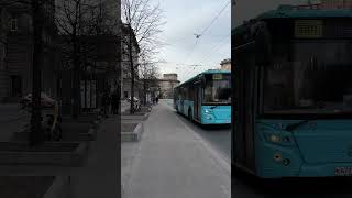 Автобус 300! #спб #транспорт #автобус #весна #красота @Transportspbinetolko!