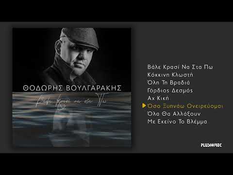 Θοδωρής Βουλγαράκης - Όσο Ξυπνάω Ονειρεύομαι (Official Audio Release)