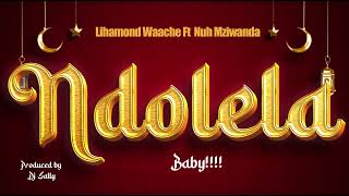 Lihamond Waache ft Nuh Mziwanda -  Ndolela official  Lyrics Resimi