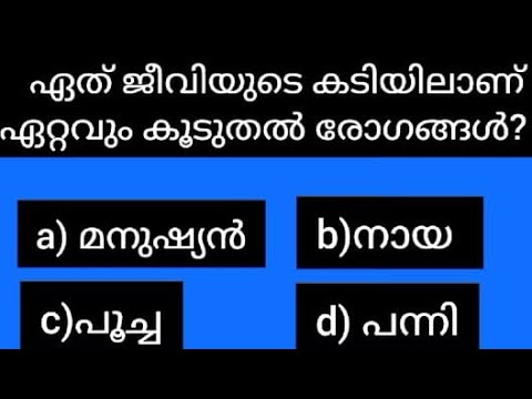 Episode 14| General knowledge |psc related question |Malayalam quiz|GK |Free time Enjoyments.