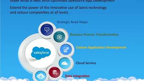 Salesforce Development by Endive Software