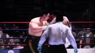 Muhammad "The Greatest" Ali VS Vitali "Dr. Ironfist" Klitschko 4K Ultimate Battle Please Subscribe