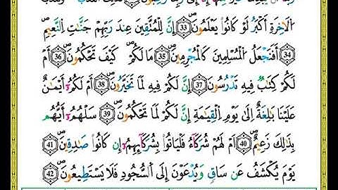 ختمة مصحف التجويد برواية ورش الصفحة رقم 565