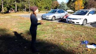 Famous Threshold - Week 1 Reactive Dog Class Profile