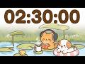 150 Minute Timer 🐱 2 hour 30 minute Study Timer for Classroom Focus