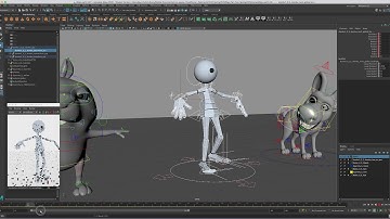 Rig script setup for Animation