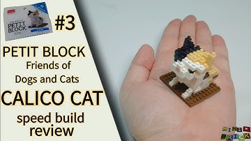 PETIT BLOCK | Friends of Dogs and Cats #3 CALICO CAT | Stop motion speed build review