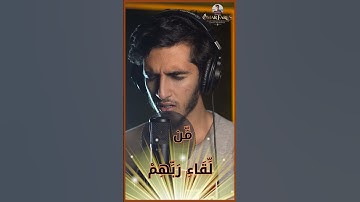 صوت يريح القلب من سورة فصلت 🕊