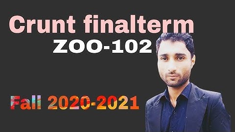 ZOO-102 Final Term Solved Papers Fall 2021-2021 | VU SOLVED PAPERS