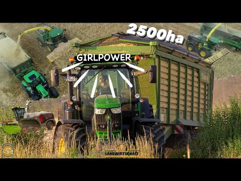 JCB Fastrac | Let's Drive | Krampe Big Body 900 | 1. Schnitt | Köhl Harvest