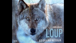Loup : Le Grand retour Présentation du prochain livre de Pierre Schwartz