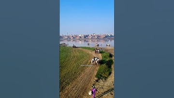Thumbnail of kala doriya kunde naal | #shortsvideo #short
