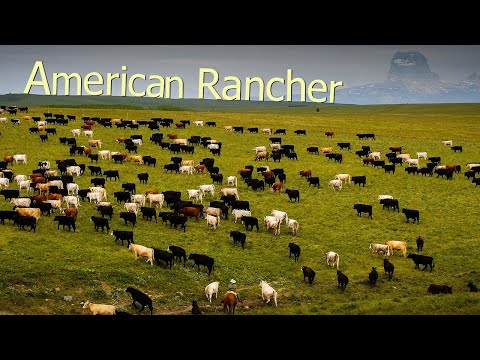 Video: Per $ 725 milioni, potresti possedere un Ranch Texas più grande di New York e LA - COMBINATO