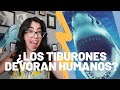 TIBURONES ¿Comen humanos? ¿Cuántos sentidos tienen?