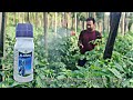 Bayer alanto 240  thiacloprid 217 sc  systemic insecticide   praveenthakur