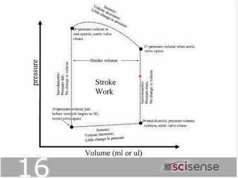 What is a pressure-volume loop - YouTube