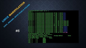 Linux | File & Folders Manipulation using cp and mv commands