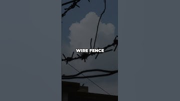 Fake Crypto Coins: Decentralization vs Control #shorts