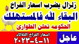 اسعار الفراخ البيضاء اليوم/ سعر الفراخ البيضاء اليوم الثلاثاء 11-4-2023 في مصر جمله وقطاعي