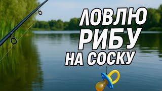 видео: Ловлю рибу на соску. Гарний монтаж по капризній рибі #дозариболовлі #realfish #карась #фідер #монтаж картинка: Ловлю рибу на соску. Гарний монтаж по капризній рибі #дозариболовлі #realfish #карась #фідер #монтаж
