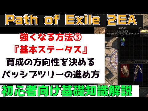 Path of Exile 2『強くなる方法③ 基本ステータスとパッシブスキルツリーの進め方 初心者向け丁寧に解説』PC.PS5.XBOX【PoE2】