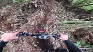 Busing Forest 25102025