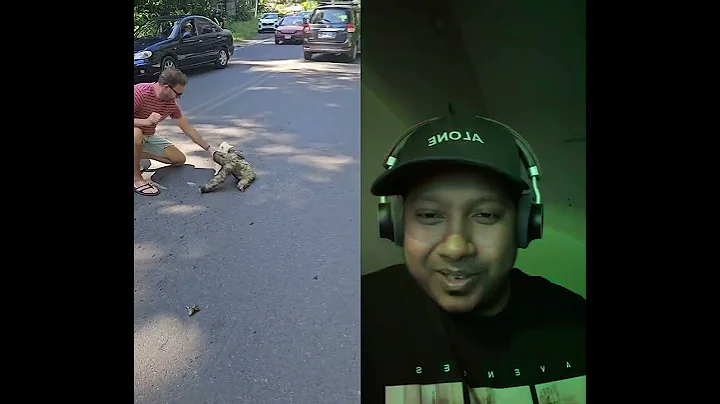 Man Rescues Sloth From Road Part 2  #animals #wildlife #crazy #sloth #rescue