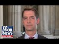 Democrats are 'still obsessed' with Trump: Tom Cotton