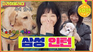 쉿~! 워크돌 레이, 퇴사율 0% 안내견 학교 훈련사로 데뷔! | 따라해볼레이 EP.23