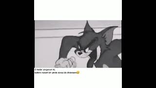 O Kadar Yorgunum Ki,Kalbim Müsait Bir Yerde Dursa Da Dinlensem...