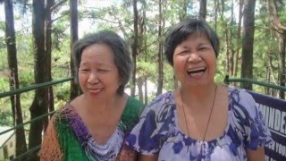 Tribute for Lola Norma