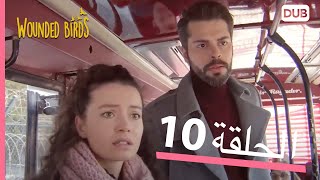 الطيور الجريحة | الحلقة الكاملة 10 |  مدبلج عربي