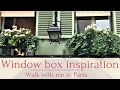 Window box planting ideas fresh out of Paris | Ideas for balcony gardens