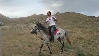 Rahvan Atı Ramon Antrenmanda