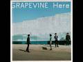 Grapevine  &ndash; Here