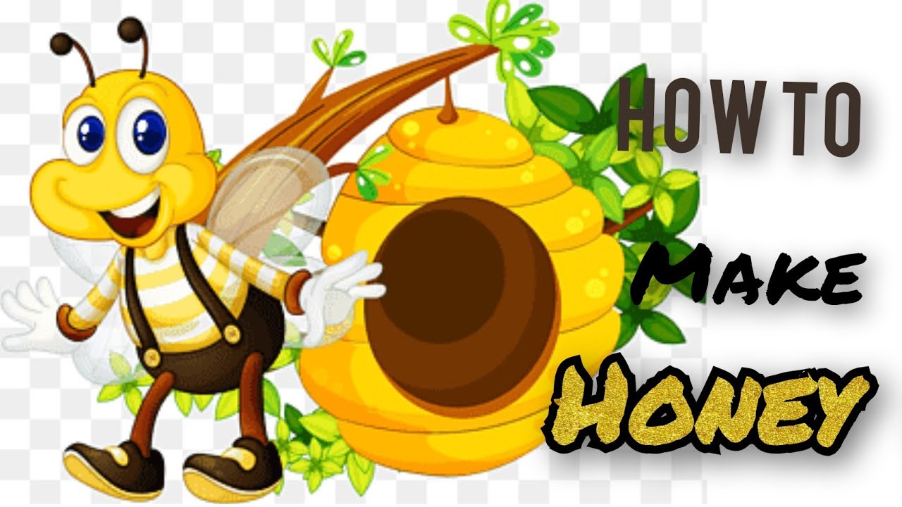 How do Bees make honey?/aumsumkidseducation science children