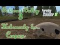 Farming Simulator 17, карта Goldcrest Valley, прохождение, #3 Стрим "Животинку бы..."