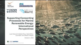 Supporting Consenting Processes for Marine Renewable Energy: International Perspectives Webinar