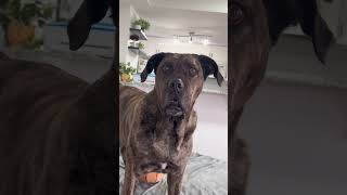 Everything Is Better With Penner