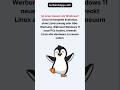 Besser als Windows? #linux #windows11 #datenschutz #datensicherheit #ki #windowsupdate #sicherheit
