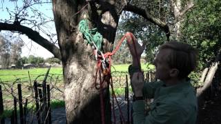 Self belay with Grigri after Short Fixing