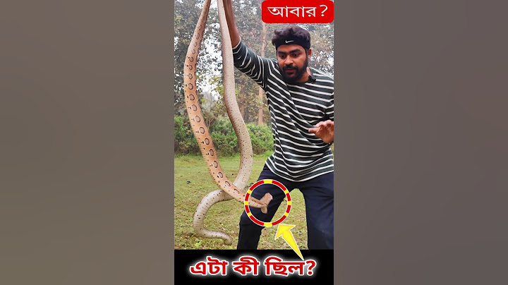 হৃদয় দুর্বল হলে দেখবেন না 🙏 রাসেল ভাইপার কতটা রাগী হয় দেখুন! Angry Russell's Viper #viralshorts
