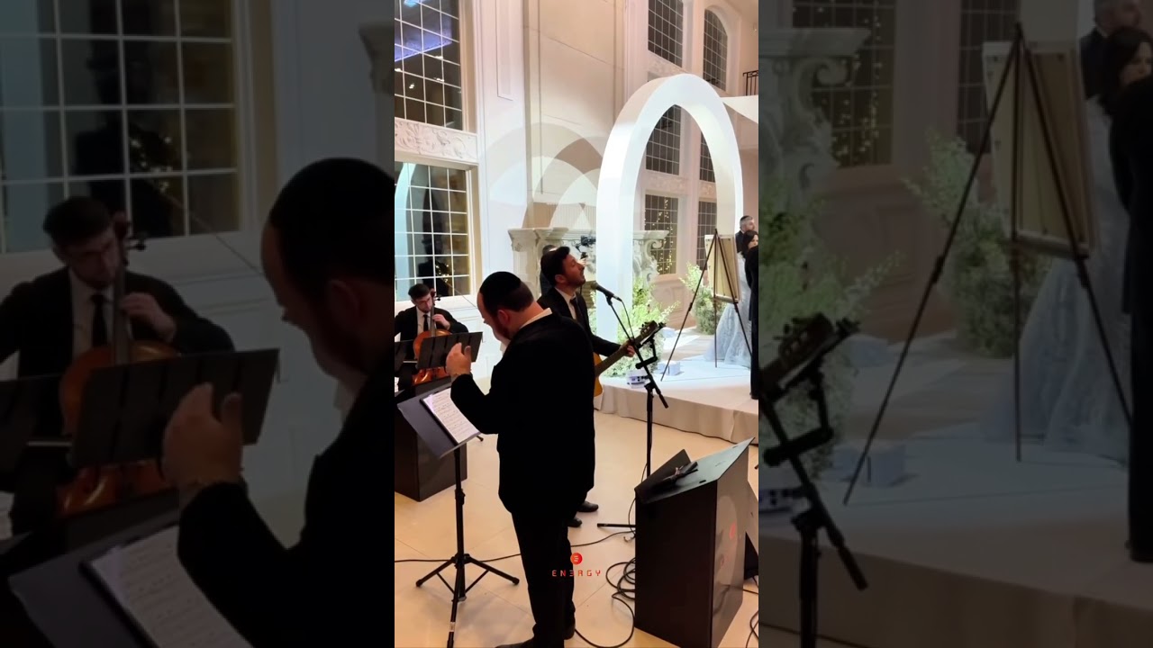 ‪@elilevinmusic‬