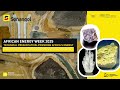 African Energy Week 2025 Critical Minerals To Diversify Angola S Energy Matrix mp3