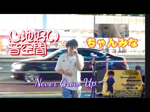 🥊②『Never Grow Up /ちゃんみな』【cover by OTO烏-otogarasu-「short」】 新宿路上ライブ  ◆歌詞付き